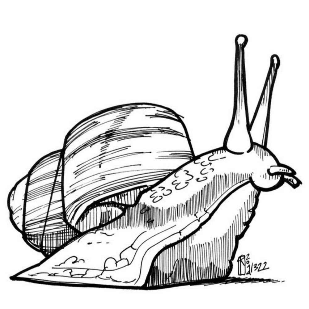 Meet your Posher, Kristin